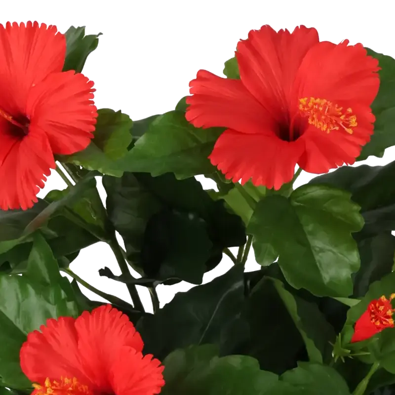 Closeup af Kunstig hibiscus rød H: 42 cm.