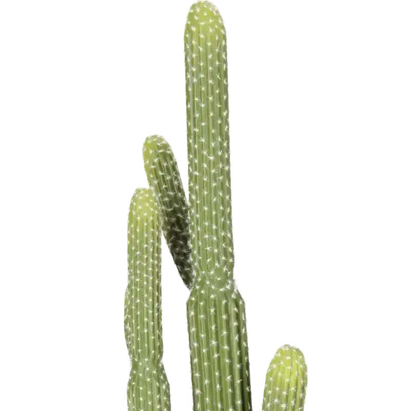 Closeup af Kunstig søjlekaktus - H: 91 cm.