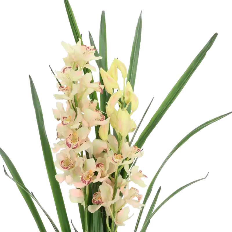 Closeup af Kunstig Cymbidium lyserød - H: 115 cm.