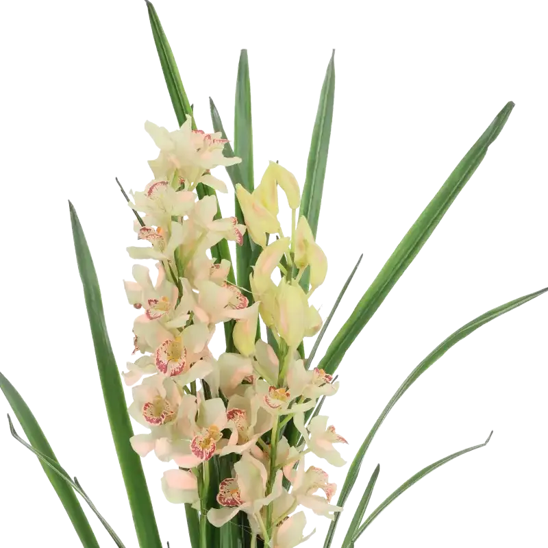 Closeup af Kunstig Cymbidium lyserød H: 115 cm.