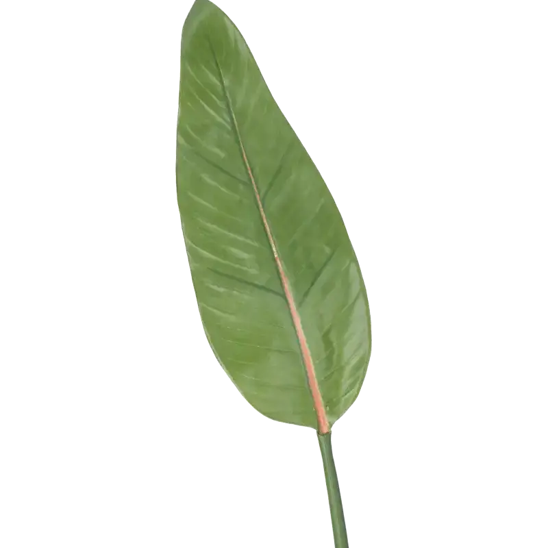Closeup af Kunstig paradisfugl gren - L: 90 cm.