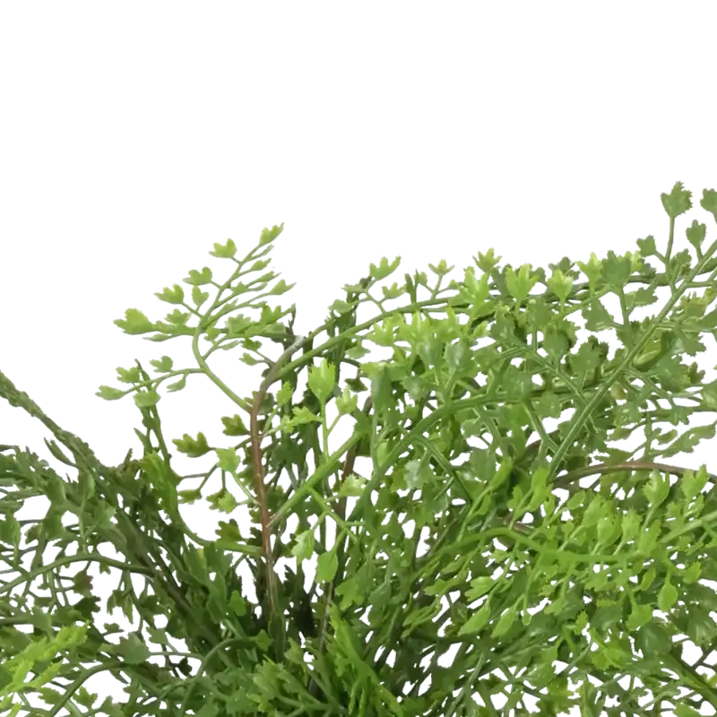 Closeup af Kunstig adiantum i potte H: 30 cm.