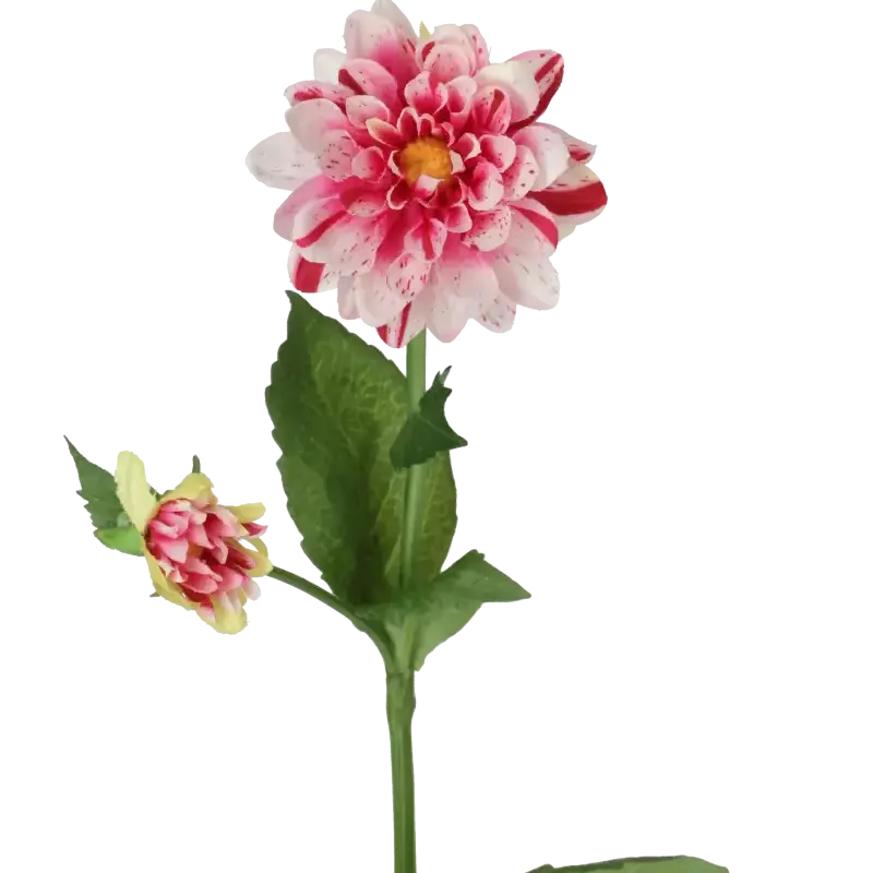 Closeup af Kunstig hvid/lyserød Dahlia stilk - L: 65 cm.