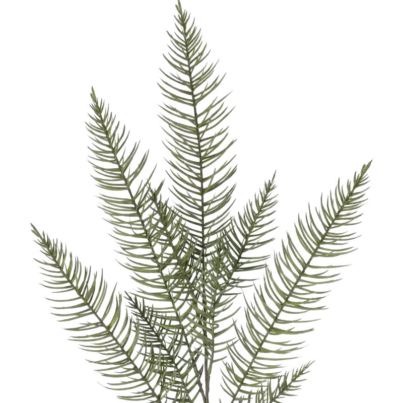 Closeup af Kunstig Asparagus gren - L: 120 cm.