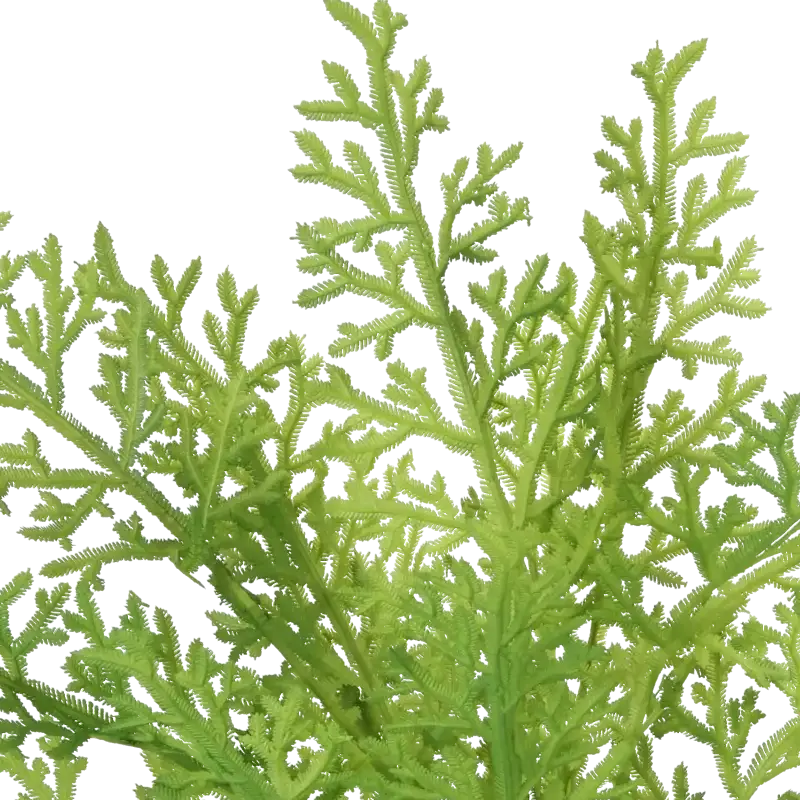 Closeup af Kunstig thuja busk - H: 54 cm.