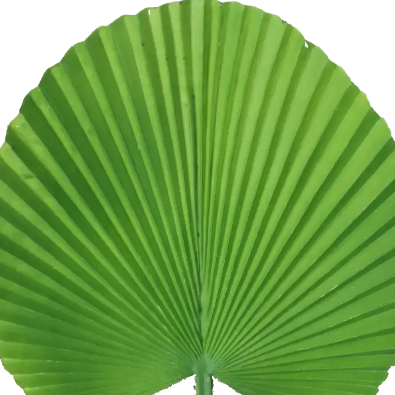 Closeup af Kunstig palmeblad L: 55 cm.