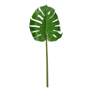 Kunstig philo blad - L: 100 cm.