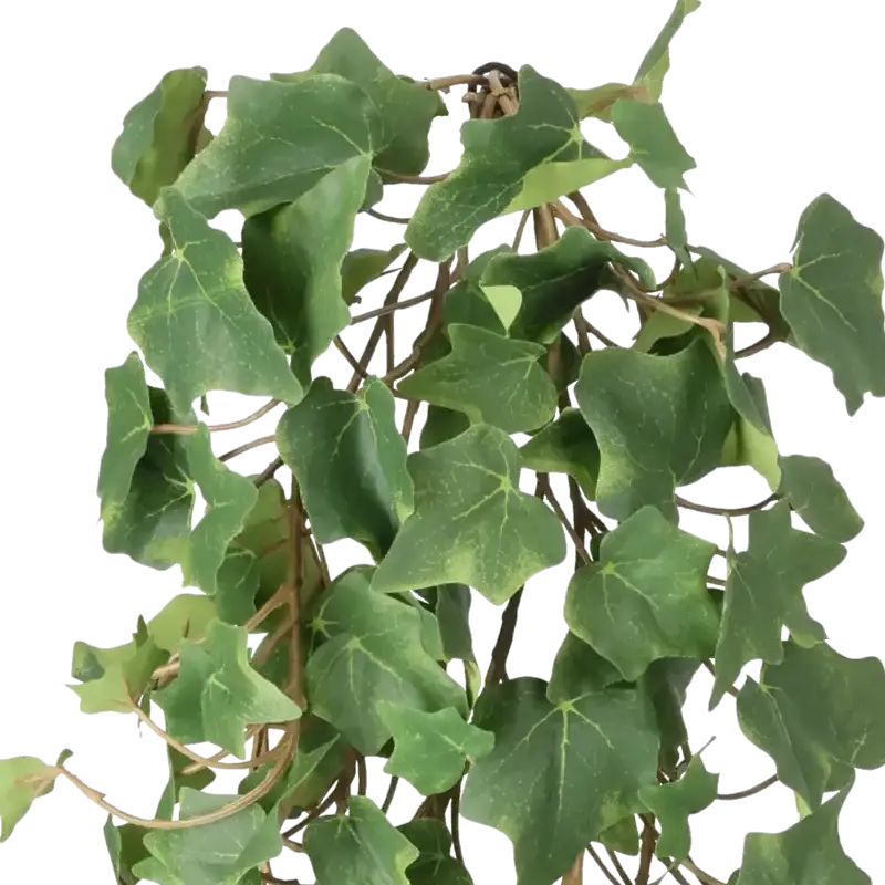 Closeup af Kunstig efeu hængeplante grøn FR - L: 55 cm.