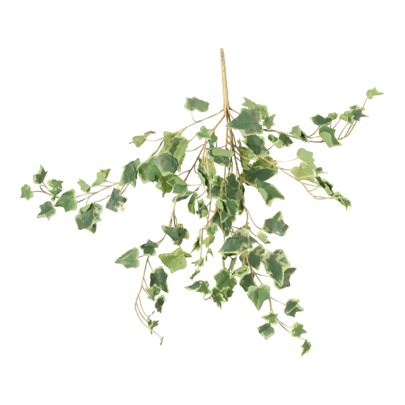 Kunstig efeu hængeplante grøn/hvid FR- L: 55 cm.