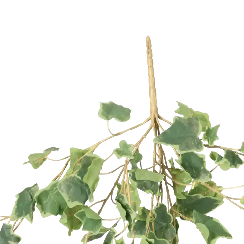 Closeup af Kunstig efeu hængeplante grøn/hvid FR L: 55 cm.