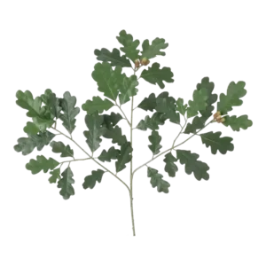 Kunstig egegren med frugter FR - L: 68 cm.