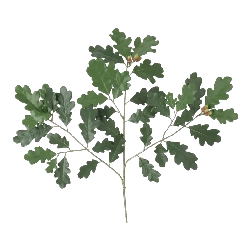 Kunstig egegren med frugter FR - L: 68 cm.
