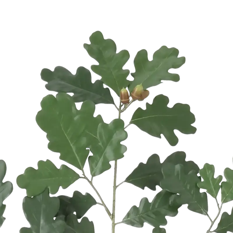 Closeup af Kunstig egegren med frugter FR L: 68 cm.