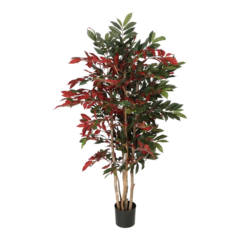 Kunstig Capensia - H: 140 cm.