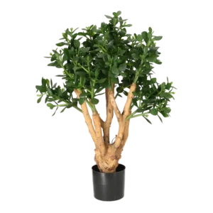 Kunstig pengetræ - H: 90 cm B: 50 i toppen.