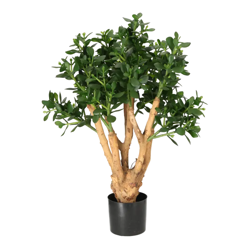 Kunstig pengetræ - H: 90 cm B: 50 i toppen.
