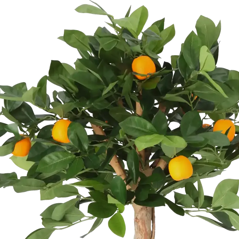 Closeup af Kunstigt appelsin træ H 70 cm.