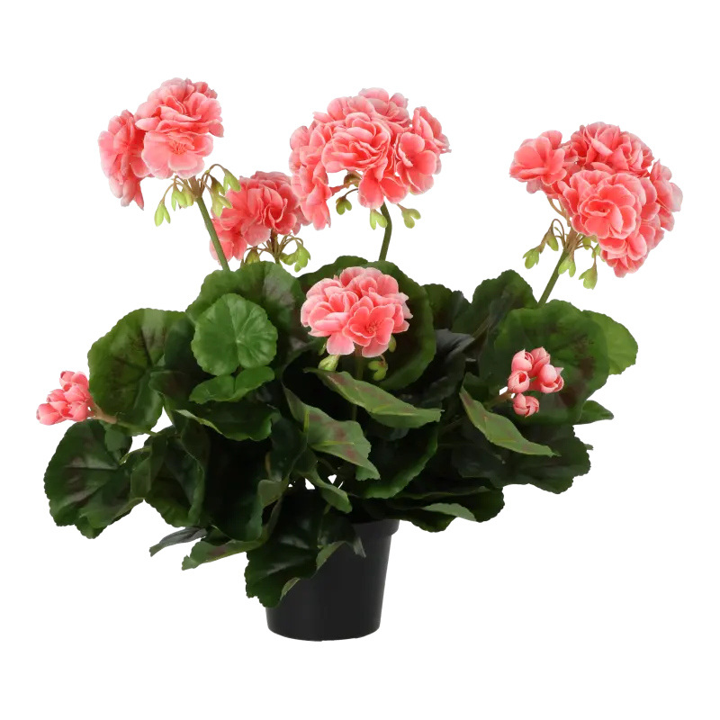 Kunstig pelargonie rosa - H: 35 cm.