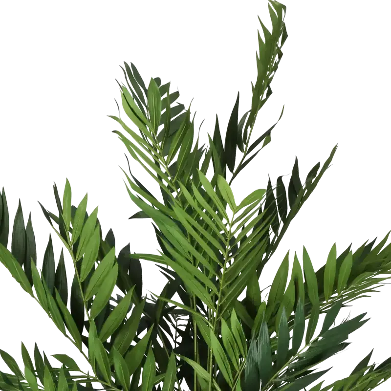 Closeup af Kunstig Parlour palme H: 150 cm.