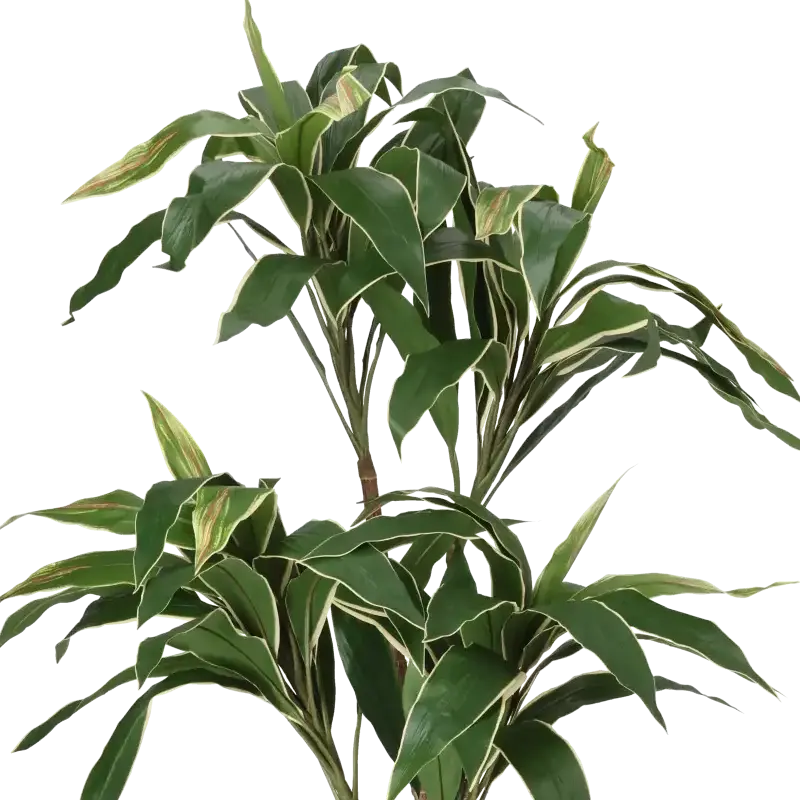 Closeup af Kunstig Cordyline palme H: 120 cm.