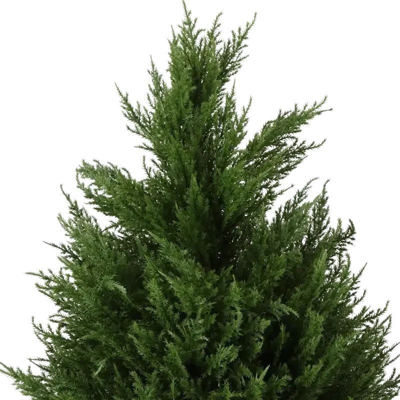 Closeup af Kunstig cypress kegletræ H: 110 cm.