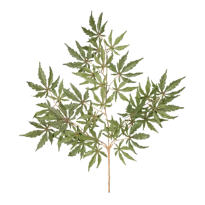 Kunstig Ahorn stilk FR - L: 70 cm.
