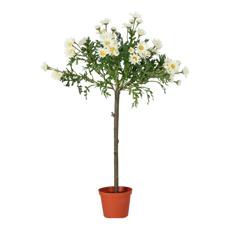 Kunstig opstammet marguerit hvid - H: 60 cm.
