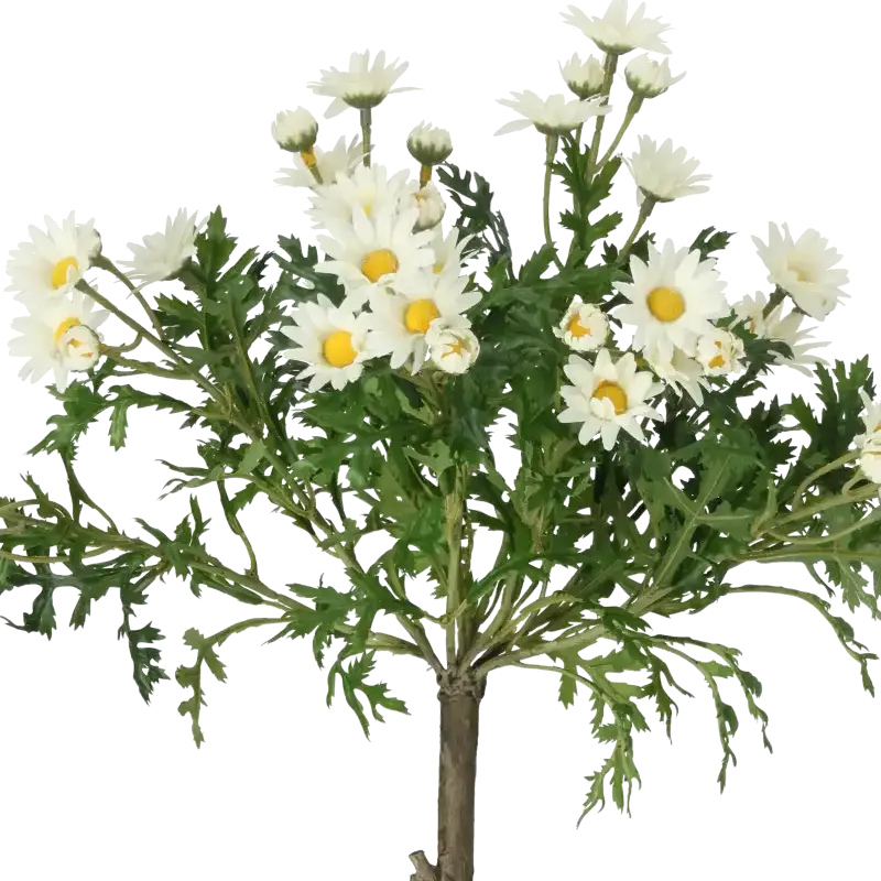 Closeup af Kunstig opstammet marguerit hvid H: 60 cm.
