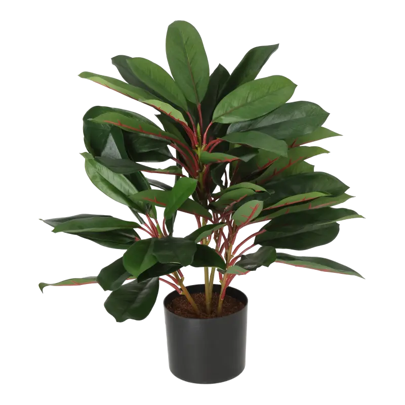 Kunstig schefflera - H: 40 cm.