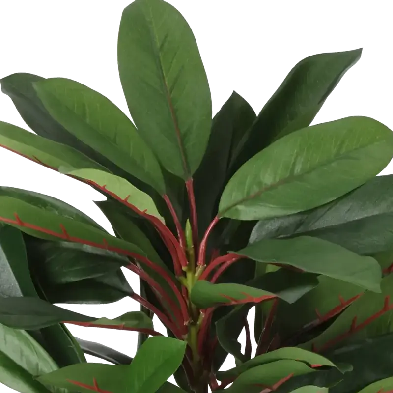 Closeup af Kunstig schefflera H: 40 cm.