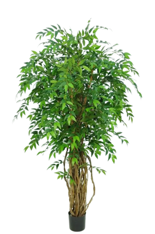 Kunstig ficus liana træ - H: 170 cm.
