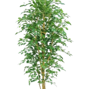 Kunstig ficus benjamina grøn - H: 230.