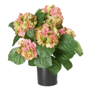 Kunstig hortensia rosa/lime - H: 41 cm.