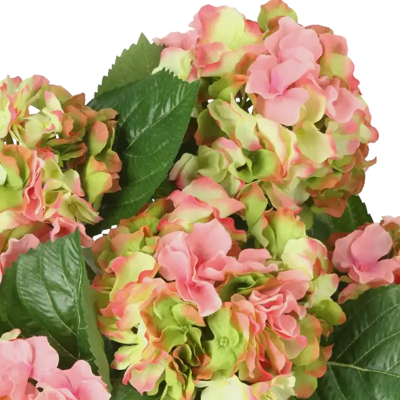 Closeup af Kunstig hortensia rosa/lime H: 41 cm.
