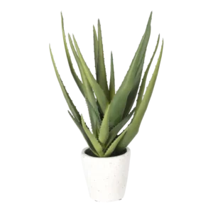 Kunstig Aloe Vera - H: 35.