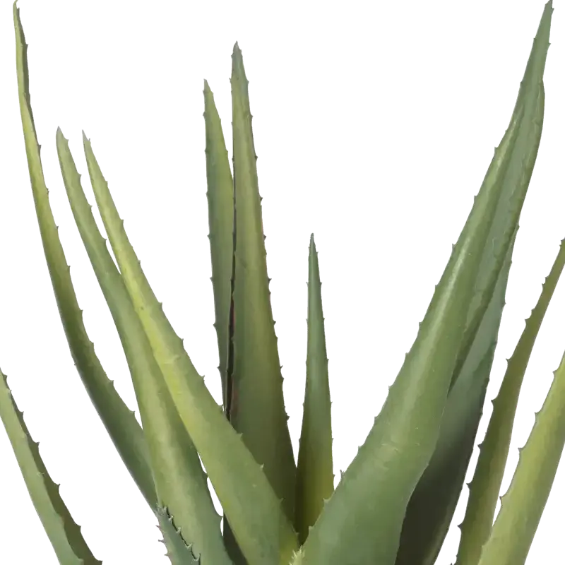Closeup af Kunstig Aloe Vera - H: 35.