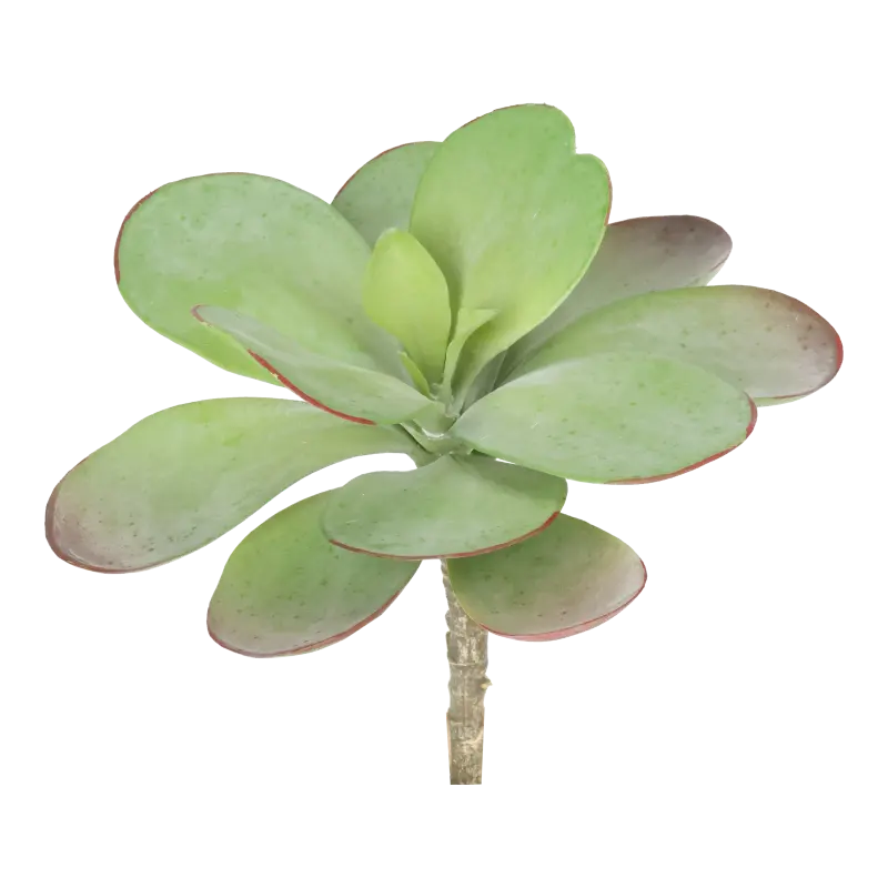 Kunstig succulent stilk - L: 18 cm.