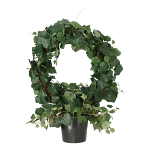 Kunstig efeu ring grøn H: 90 cm.