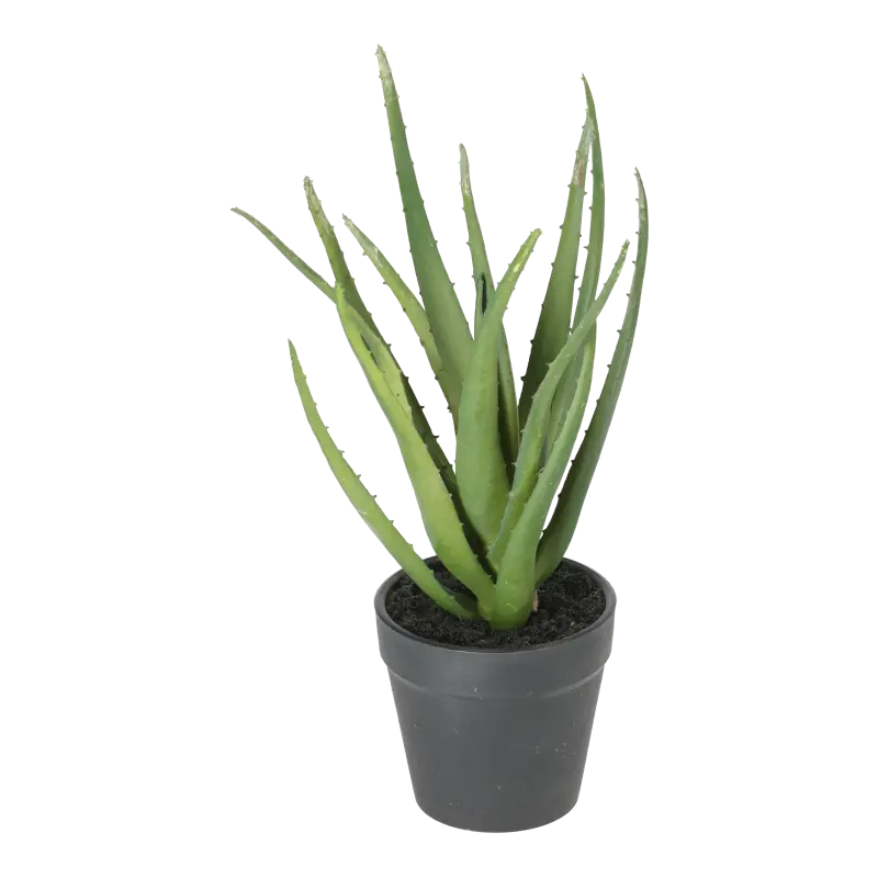 Kunstig Aloe grøn - H: 30 cm.