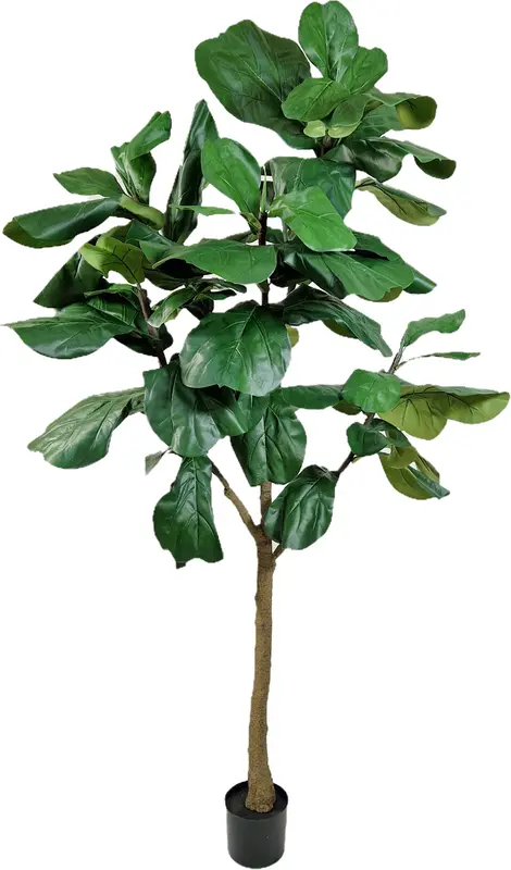 Kunstig violinfigen træ UV H: 210 cm.