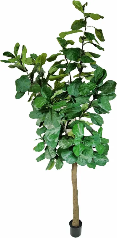 Kunstig violinfigen træ UV H: 300 cm.