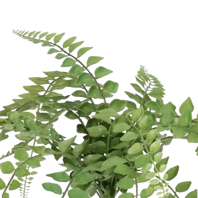 Closeup af Kunstig bregne plant H: 50 cm.