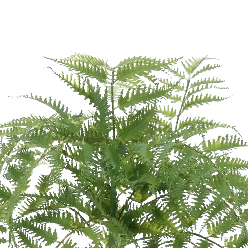 Closeup af Kunstig bregne H: 44 cm.