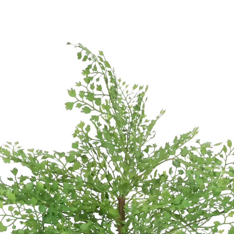 Closeup af Kunstig Adiantum busk H: 24 cm.