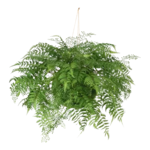 Kunstig mos kugle D: 60 cm.