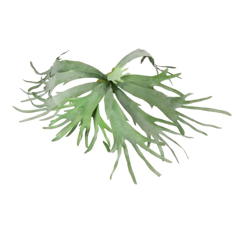 Kunstig staghorn hængeplante L: 80 cm.