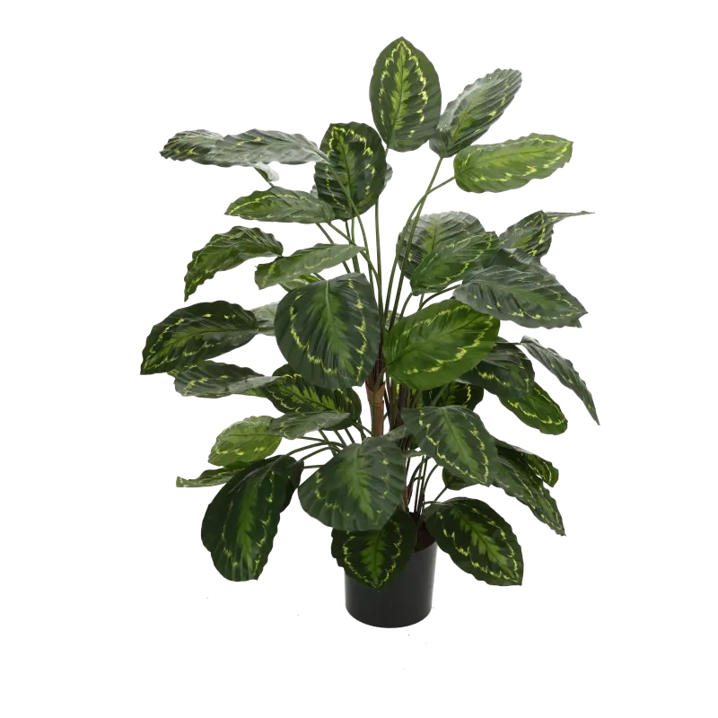 Kunstig Calathea - H: 95 cm.