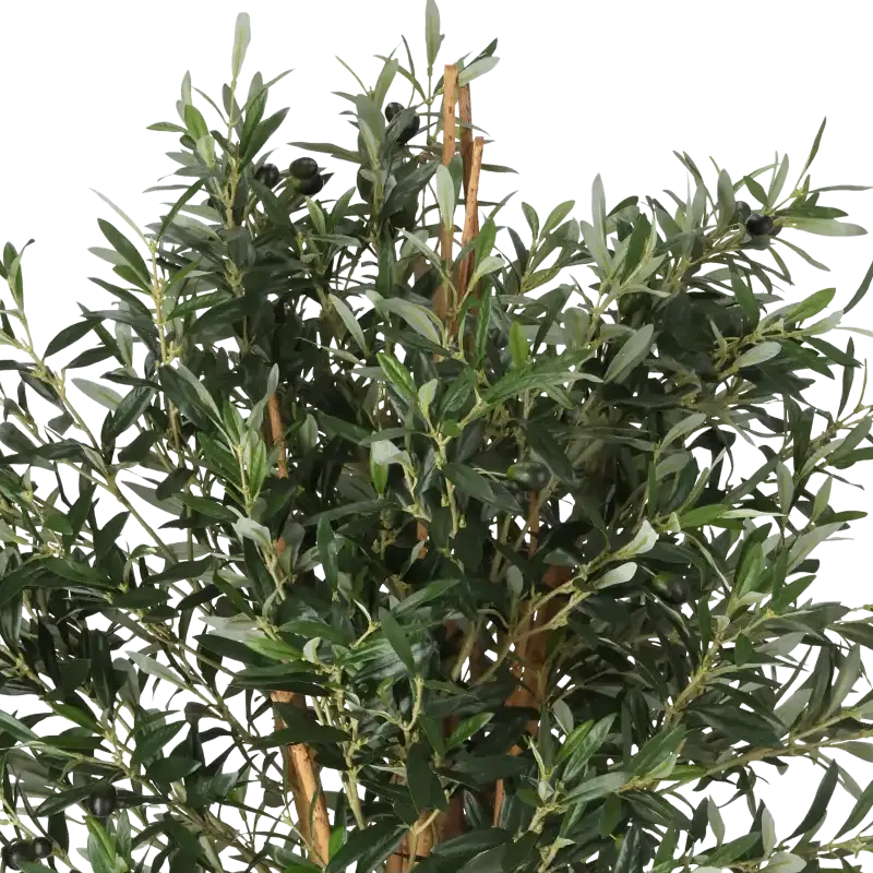 Closeup af Kunstig oliventræ med frugt - H: 75 cm.