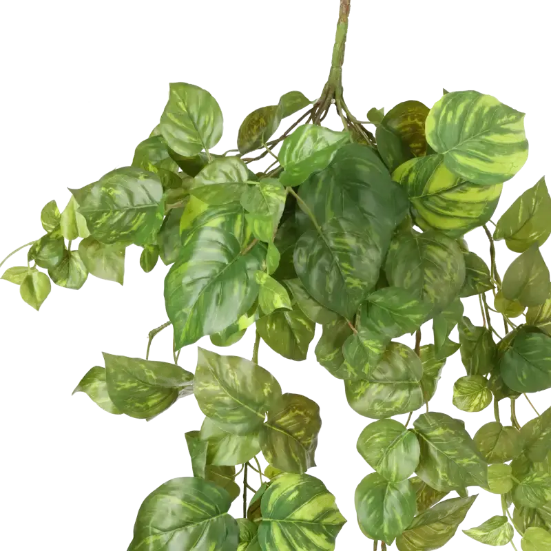 Closeup af Kunstig pothos hængebusk L : 90 cm.