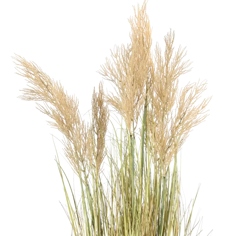 Closeup af Kunstig Miscanthus græs H: 120cm.